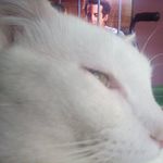 Teresa A Daugherty - @oldermom1 - Instagram