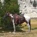 Teresa Devaney - Facebook