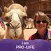 Teresa DeVore - Facebook