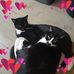 Teresa De Vos - Facebook