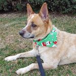 Teresa DeWitt - @teresadewitt7 - Instagram