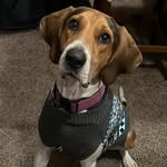 Teresa DeWitt - @teresadewitt4525 - Instagram