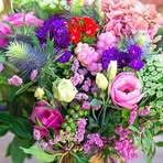 Teresa T. Dewitt - Facebook
