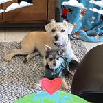 Teresa Goodwin Dotson - @teresa.dotson - Instagram