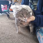 Teresa Dutton - @tad2468.tc - Instagram