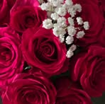 Teresa Eaves - Facebook