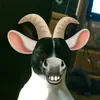 Tessa Eaves - @tessaeaves - TikTok