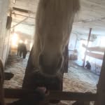 Theresa Ebert - @ebert_theresa - Instagram