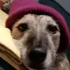Teresa Egan - @teresaegan5 - TikTok