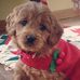 Teresa Eileen - Facebook