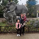 Teresa Eileen - @settermom2012 - Instagram
