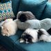 Teresa Eileen - Facebook