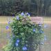 Teresa Ely - Facebook