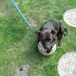 Teresa Faust - @teresa.faust.50 - Instagram