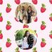 Teresa Fore - Facebook