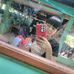 Teresa Gregorio - Facebook