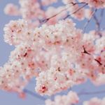 Teresa Heldmann - @heldmannteresa - Instagram