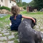 Teresa Heller - @frau_heller_fuchs - Instagram
