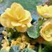 Theresa Hutton - Facebook