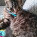 Theresa Hutton - Facebook