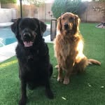Teresa Hyde - @teresahyde98 - Instagram