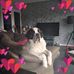 Teresa Hyde - Facebook