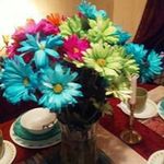 Teresa Jamison - @jamison.teresa - Instagram