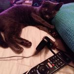 Teresa Jarrell - @teet218 - Instagram