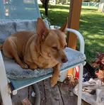 Teresa Knott - Facebook