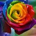 Theresa Labbe - Facebook