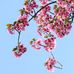 Teresa Lambe - Facebook