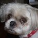 Theresa Lambe - Facebook