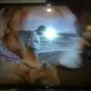 Teresa Lambeth Cagle - @teresa.lambeth.ca - TikTok