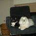 Teresa Lander - Facebook