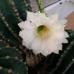 Teresa Langner - @langnerteresa - Instagram
