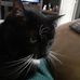 Teresa Lapoint - Facebook