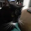 Teresa Lapoint - @teresa.lapoint - TikTok
