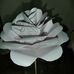 Teresa Lees - Facebook