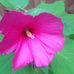 Teresa Lepper - Facebook