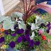 Theresa Lepper - Facebook