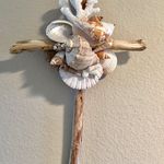 Teresa Link - @terrysseashells - Instagram