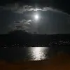 Theresa Lytle - @theresa.lytle - TikTok