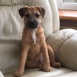 Teresa Maplesden - @maplesdenteresa - Instagram