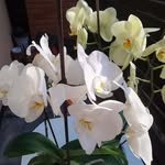 Teresa Markiewicz - @teresamark2 - Instagram
