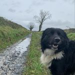 Teresa McGee - @teresamcgee12 - Instagram