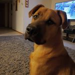 Teresa Haskins Munro - @gerald_morgan506 - Instagram