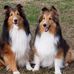 Teresa Olson - Facebook
