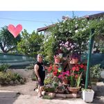 Teresa Pace - @teresa.pace.562 - Instagram