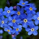 teresa.packo@wp.pl - @teresa.packowp.pl - Instagram