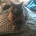 Teresa Pendleton - Facebook